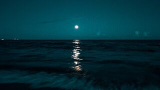 シンクロニシティ〜偶然的一致〜